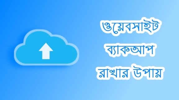 ওয়ার্ডপ্রেস ওয়েবসাইট ব্যাকআপ রাখার উপায় (WP BackUp & Restore)