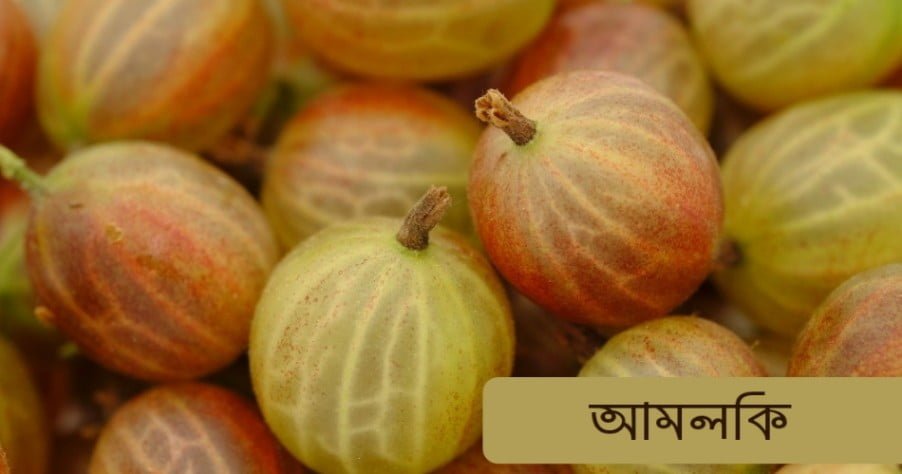 চুল ঘন করার উপায় হিসেবে আমলকির ব্যবহার