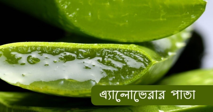 চুল ঘন করার উপায় হিসেবে অ্যালোভেরা